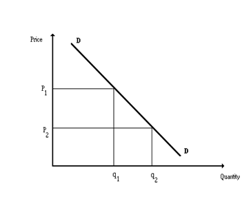 1060_market Demand Curve.png